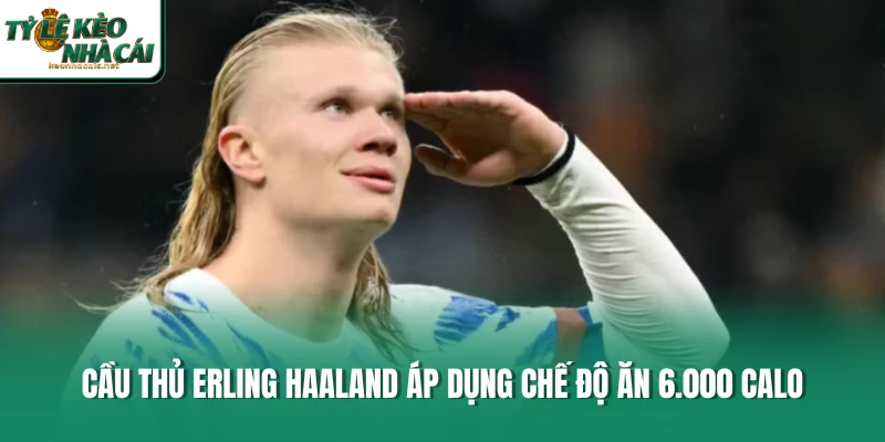 Cầu thủ Erling Haaland áp dụng chế độ ăn 6.000 calo 