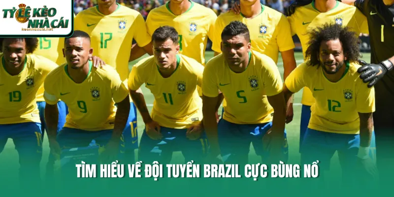 Tìm hiểu về đội tuyển Brazil cực bùng nổ 